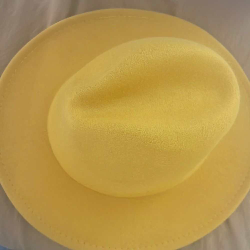 Fedora hat